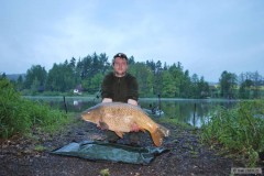 Kliknutím fotografii zvětšíte Kapr 20kg
