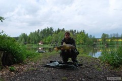 Kliknutím fotografii zvětšíte Lín 57cm 3kg