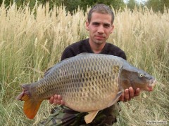 Kapr 75cm. 13kg