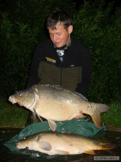 DOUBLE 74CM-9.5KG,72CM-7KG