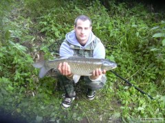 Kliknutím fotografii zvětšíte Amur Bílý 66cm