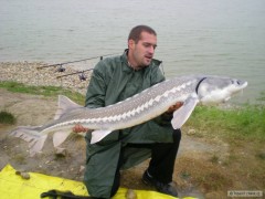 Kliknutím fotografii zvětšíte Jelka 2010