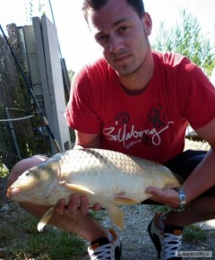 Kliknutím fotografii zvětšíte Kaprík 67cm