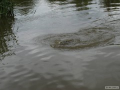 Kliknutím fotografii zvětšíte Zdolávačka
