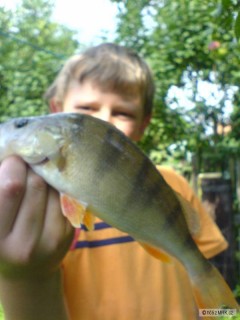 Kliknutím fotografii zvětšíte okon 28cm