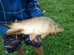Kliknutím fotografii zvětšíte kapr 48 cm