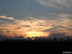 Z�pad 19:50h.