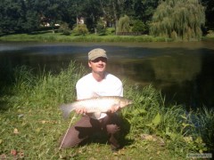 Amur 66cm