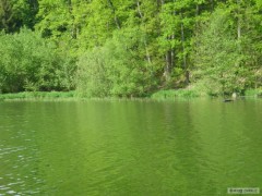 Kliknutím fotografii zvětšíte příroda v Green designu :-)