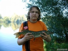 Štika 56 cm z Labe