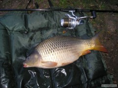 Roudnice - 13.-14.2010