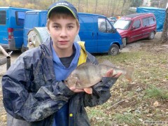 Kliknutím fotografii zvětšíte taktéž podzimni