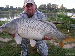 Kliknutím fotografii zvětšíte Kapr 92cm 13kg