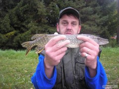 Kliknutím fotografii zvětšíte otcova štička 50 cm
