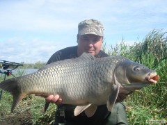 85cm,12,5kg
