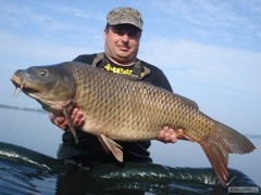 94cm,15,1kg