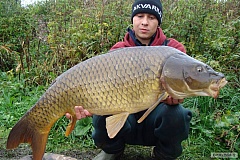 13,1kg 95cm