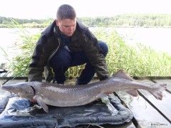 Kliknutím fotografii zvětšíte 158cm 19,2kg
