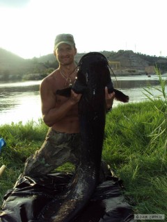 Kliknutím fotografii zvětšíte Ebro 171cm-34kg
