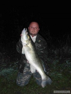 Kliknutím fotografii zvětšíte Zubáč obyčajný 96 cm 9kg