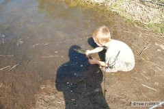 Kliknutím fotografii zvětšíte učí se vracet ryby vodě