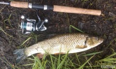 Kliknutím fotografii zvětšíte tloušť 52 cm