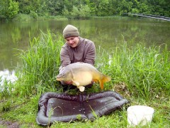 Kliknutím fotografii zvětšíte Kapr 80cm 14,5kg