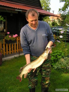 Kliknutím fotografii zvětšíte Štika r.2007