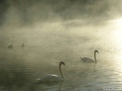 Kliknutím fotografii zvětšíte 2010