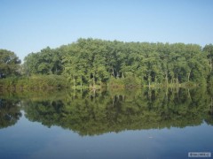 Kliknutím fotografii zvětšíte www.liscijezero.cz