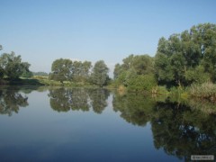 Kliknutím fotografii zvětšíte www.liscijezero.cz