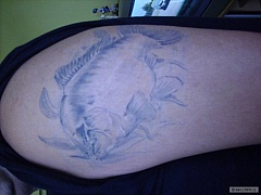 Kliknutím fotografii zvětšíte tatoo