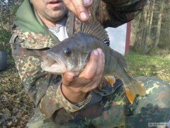 Kliknutím fotografii zvětšíte 30.10.2010 40 cm