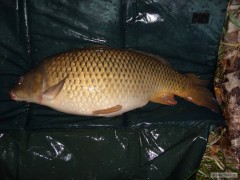 Kliknutím fotografii zvětšíte 29.10 2010 svazovka