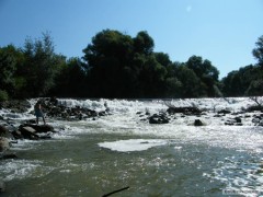 SEZ�NA 2010 NA Z�GOVE