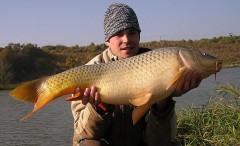 Kliknutím fotografii zvětšíte 83cm 9.30kg