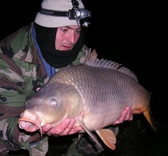 Kliknutím fotografii zvětšíte Kapor 84cm 9.00kg