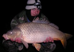 Kliknutím fotografii zvětšíte Kapor 84cm 9.00kg