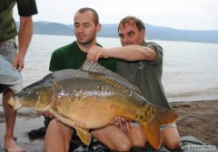 Kliknutím fotografii zvětšíte Zemplinsky kapor 2010