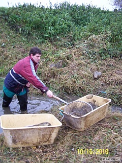 Kliknutím fotografii zvětšíte Vylov Křižatka 2010