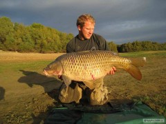 Ebro 21,20 kg