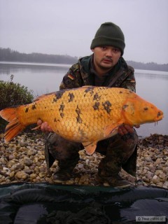 Kliknutím fotografii zvětšíte poslední mohykán 2010
