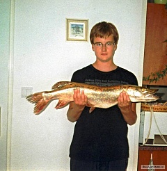 Kliknutím fotografii zvětšíte Štika 80cm