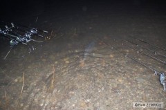 Kliknutím fotografii zvětšíte odplouvá
