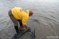 Kliknutím fotografii zvětšíte hurá zpátky domů