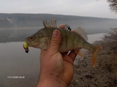 Kliknutím fotografii zvětšíte