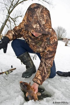 Kliknutím fotografii zvětšíte 5.12.2010