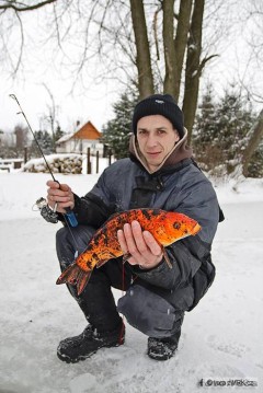 Kliknutím fotografii zvětšíte 5.12.2010