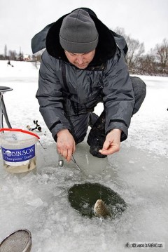 Kliknutím fotografii zvětšíte 5.12.2010