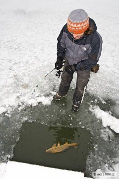 Kliknutím fotografii zvětšíte 5.12.2010